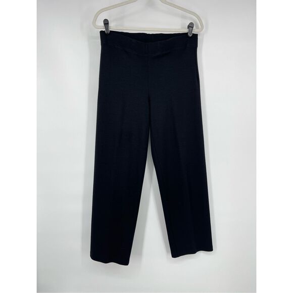Eileen Fisher Petite Straight Leg Pull On Pant Wool Blend Size PETITE Small EUC - Picture 1 of 7